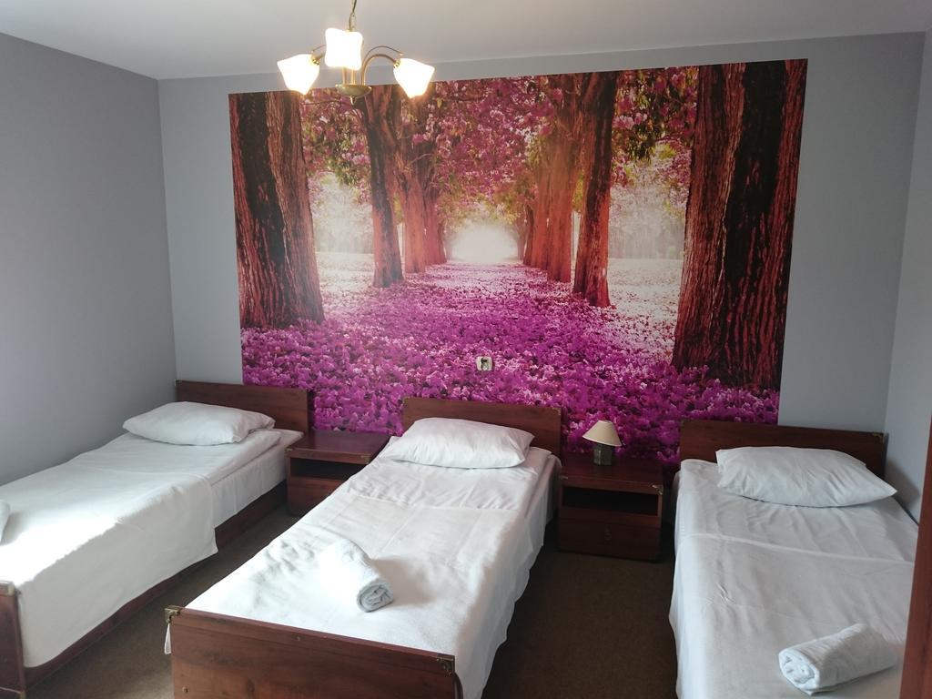 Pokoje Hotelowe Wiktoria โกจัลโควิเซ-เซดรอย ภายนอก รูปภาพ